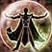 Skill Icon